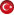 Türkçe